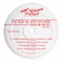 Andre Zimmer - The Quest (Paperkraft Remix)