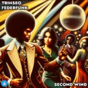 TRINSEO & FederFunk - Second Wind (Original Mix)