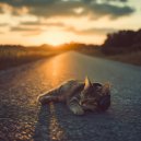 Radush, Chill House Kitten - Jazz mood (Original Mix)