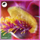 Jochen Pash, Bodean - Good Time (Original Mix)