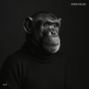 The Kite String Tangle, Felsmann + Tiley - Open Fields (Original Mix)