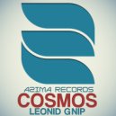 Leonid Gnip - Cosmos