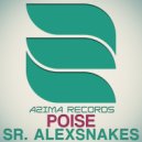 Sr. AlexSnakes - My Philosophy