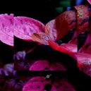Xyphira Keltryx - Zorlen Krandor