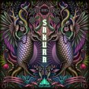 Cosmic Brahma - Inpsyde Me