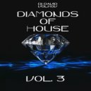 Dj David Volkov - Diamonds of House Music 3.0 ()