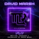 David Marsh - Fly (Original Mix)
