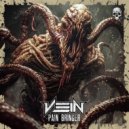 VEIN - PAIN BRINGER (Original Mix)