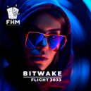 Bitwake - Flight 3033 (Original Mix)