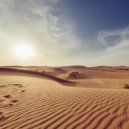 Osc Project - Desert Rose (Original Mix)