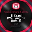 Kozak Siromaha & Skofka - Зі Сталі (Wellyington Remix)