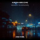 Aurora-bird (CHN) - Midnight in Shenzhen (Extended Mix)