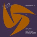 Hakkon - Volt Flux (Original Mix)