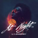 DJ ZHUKOVSKY - At Night