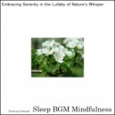 Sleep BGM Mindfulness - Neural Rhythms Whispering Solfeggio Dreams (Original Mix)