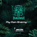 Haunui - Dr. Ho (Original Mix)