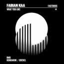 Fabian Kaa - What You Like (Original Mix)