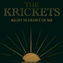 The Krickets - Right In Front Of Me ()
