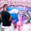 PNZF & playawoods - HE SAID SHE SAID ()