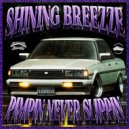 Pink Shine Records & SHINING BREEZZE - PIMPIN NEVER SLIPPIN ()