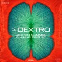 DJ Dextro - Third State (Original Mix)