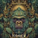 Togata - Kong City ()