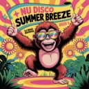 Ruud Huisman - Nu Disco Summer Breez