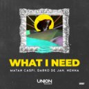 Matan Caspi, Darko De Jan, Nenna - WHAT I NEED (Original Mix)