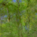 Nicholas Tyson - Green Shelter
