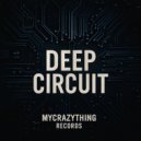 Deepwire - Groove smurf