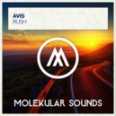 Avis - Rush (Extended Mix)