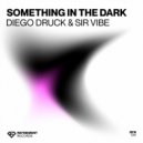 Diego Druck, Sir Vibe - Something In The Dark (Extended Mix)