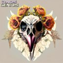 Raos - Genius ()