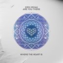 Erdi Irmak - Are You There (Original Mix)