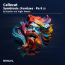 Callecat & Hobin Rude - Infinite Enclosure (Kyotto Remix)