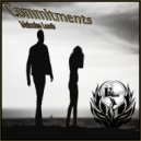 Malcolm Lewis - Commitments