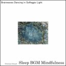 Sleep BGM Mindfulness - Solfeggio Echoes Flowing In Neural Harmony