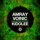 Amray, Voinic - Kidolee (Original Mix)