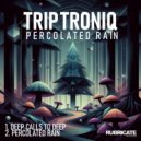 Triptroniq - Percolated Rain (Original Mix)