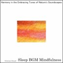 Sleep BGM Mindfulness - Awakening Moments Infused With Ambient Sound Healing For Deep Sleep