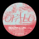 David Herrlich, Gruwski - Beautiful Life (Original Mix)