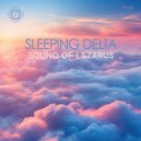 Sound Of Lazarus - Sleeping Delta (Forest at Night Mix)