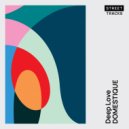 Domestique - Deep Love