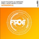Alex M.O.R.P.H., Aimoon, Northern Storm - Wonderful (Extended Mix)