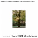 Sleep BGM Mindfulness - Deep Connection With Nature\'s Lullaby & Mental Peace (Original Mix)