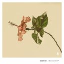 Cosmide, Djima, Pheek - Verre Brisé