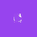 Shadow - reference ()