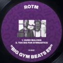 ROTM - Vario Malossi (Original Mix)