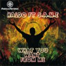 Haldo & S.A.N.E - What You Want From Me (Original Mix)