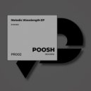 Stagira - Melodic Wavelength (Original Mix)